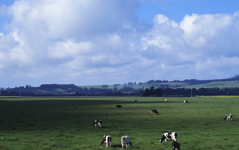 Livestock and poultry house Iot platform project case