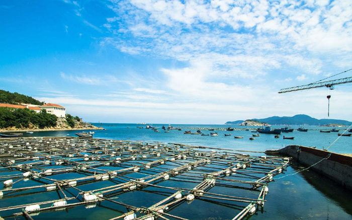 Aquaculture intelligent management system solutions